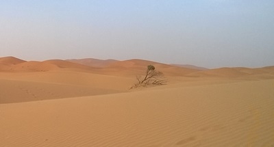 study internationally